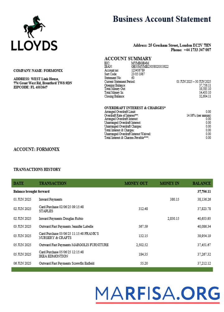Printable United Kingdom Lloyds organization statement Word and PDF template